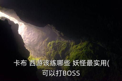  卡布 西游该练哪些 妖怪最实用(可以打BOSS