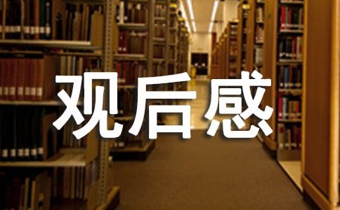 《爱宠大机密》观后感（精选16篇）