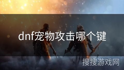 dnf宠物攻击哪个键