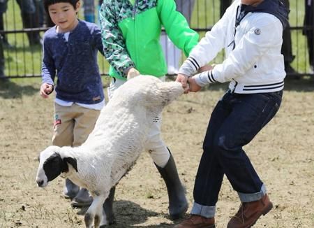 梦见打老虎有什么预兆,梦见打老虎是什么意思