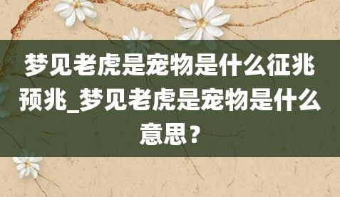梦见老虎是宠物是什么征兆预兆_梦见老虎是宠物是什么意思？