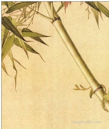 周公解梦梦见两只老虎