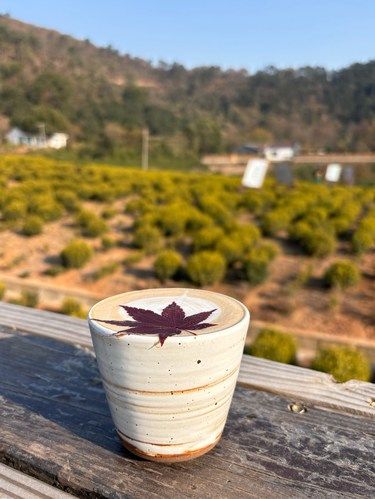 靠靠靠…无锡这一片山头，惬意到要命 