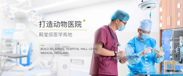顽皮家族宠物医院
