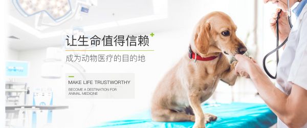 顽皮家族宠物医院