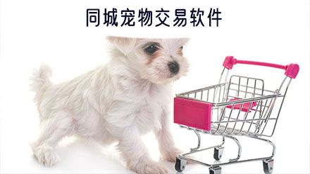 同城宠物交易软件