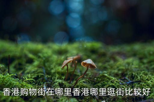 香港购物街在哪里香港哪里逛街比较好