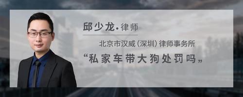 私家车带大狗处罚吗