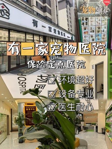 有一家宠物医院，专业为宠‍⬛，负责到底