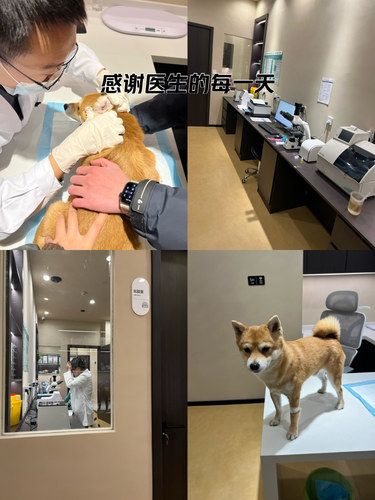 医疗新体验