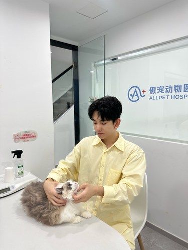 在大连找到一家靠谱的宠物医院