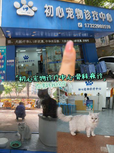 左滑跟我探店｜新手宠物家长的好选择，尽在初心
