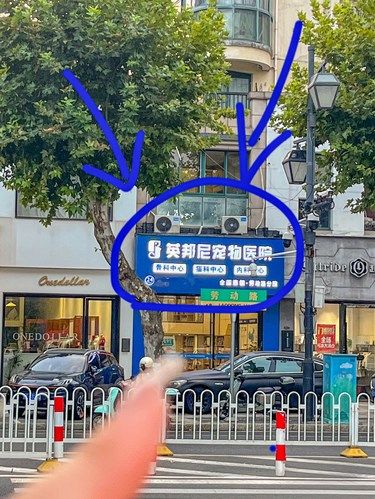 湖州这家宠物医院真的！！！真的很不错！！