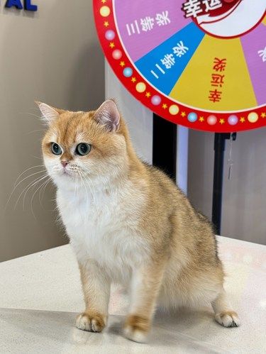 湖州✔️良心宠物医院还得是这家!!!