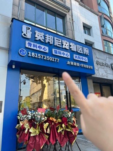 养了小狗后才知道靠谱的宠物医院…