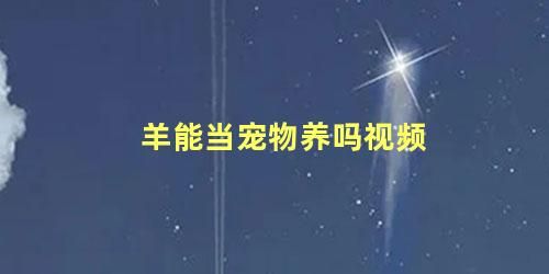 羊能当宠物养吗视频