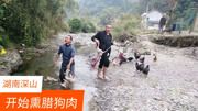 湖南深山杀狗人,每年冬天杀上千只狗,狗鞭狗下水都不要