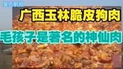 狗贩云集,夹狗郓城最刺激、杀狗‘烤狗’玉林脆皮狗肉,太精彩了