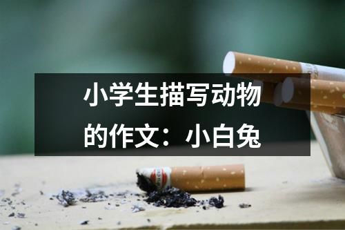 小学生描写动物的作文：小白兔