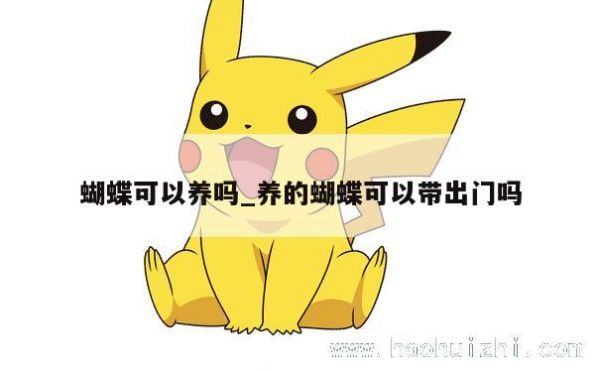 蝴蝶可以养吗_养的蝴蝶可以带出门吗 第1张