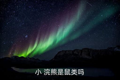 小 浣熊是鼠类吗