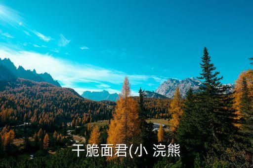 干脆面君(小 浣熊