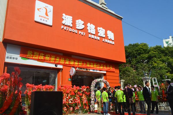 宠物新店开张盛况