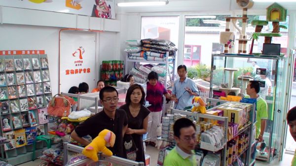 宠物门店内景一览