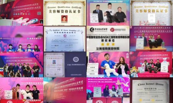 cku宠物美容师资格考试官网