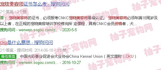 cku宠物美容师资格考试官网