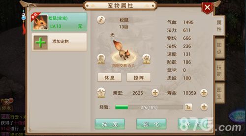 问道手游宠物界面
