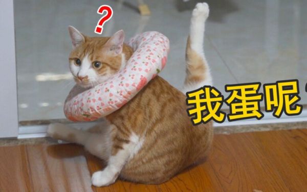 查看源图像