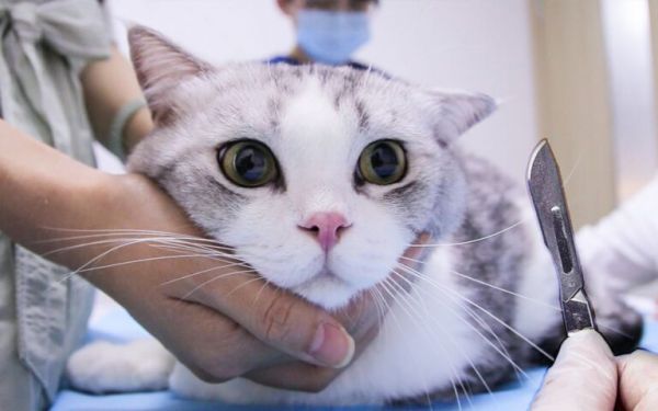 查看源图像