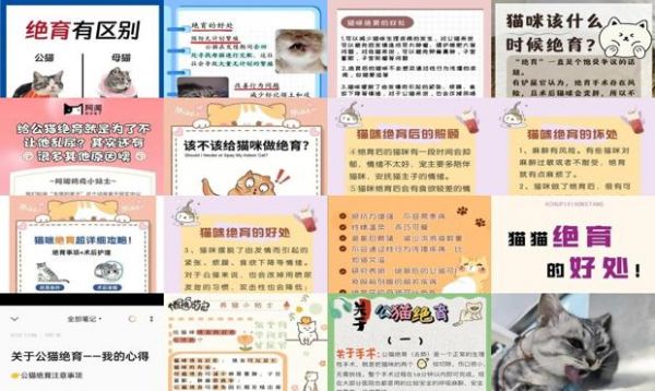 猫咪绝育的好处和坏处