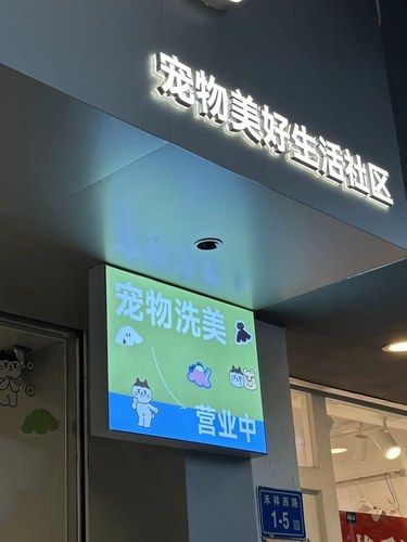思北新开的宠物店真的是太......