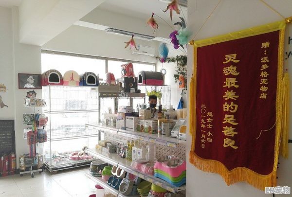 厦门宠物店加盟品牌排行榜