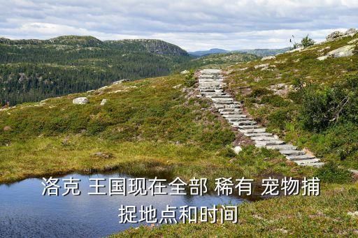  洛克 王国现在全部 稀有 宠物捕捉地点和时间