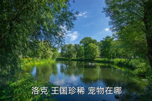  洛克 王国珍稀 宠物在哪