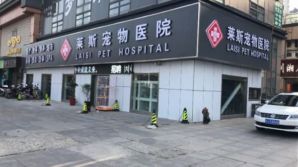 盐城最好的宠物医院,盐城最好的宠物医院是哪家