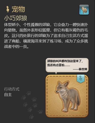 游侠网5