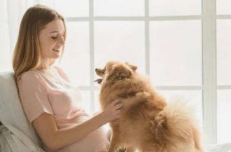 怀孕可以养宠物吗？只要做好防护科学养宠，怀孕与养宠物并不冲突