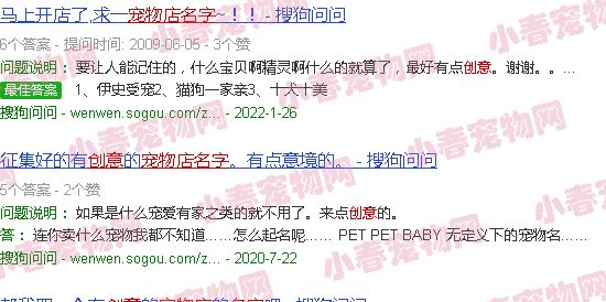 宠物店名称创意及其含义