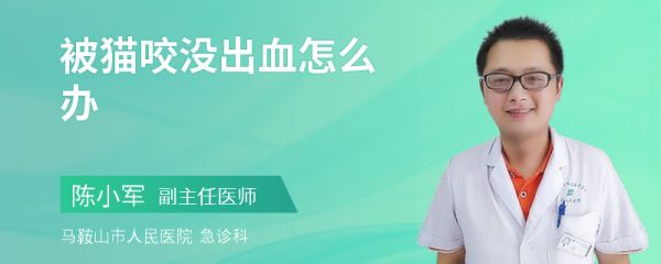 被猫咬没出血怎么办