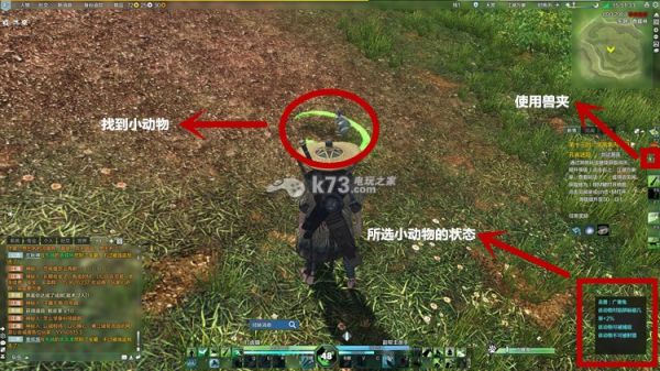 天涯明月刀ol宠物捕捉方法及分布地点