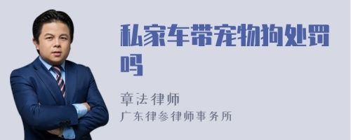 私家车带宠物狗处罚吗