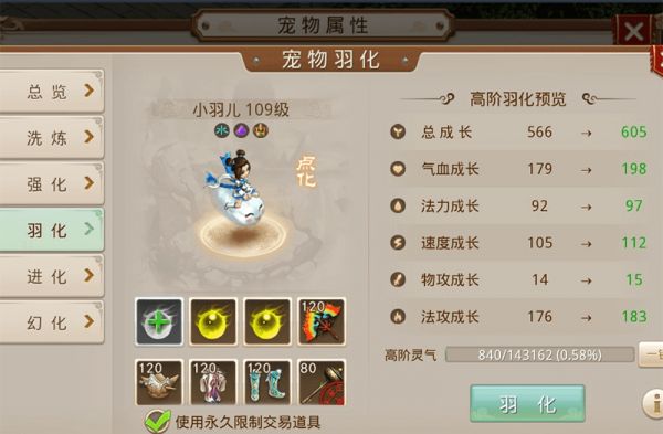宠物小羽儿