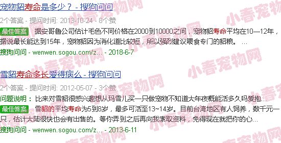 貂的寿命一般多长