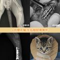 https://p0.meituan.net/dpmerchantpic/887b42d5ae48dd9654843f22aacc64a0276885.jpg%40120w_120h_1e_1c_1l%7Cwatermark%3D0