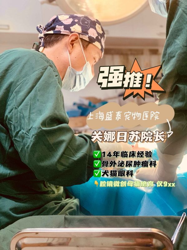 https://p0.meituan.net/binder/eb699fab49aac01173d9c679a7c04307666386.jpg%40_100q%7Cwatermark%3D0