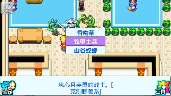 口袋宝贝5彩虹最新破解版